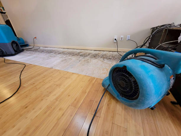 Professional Water Damage Repair technician working in Gustine, CA